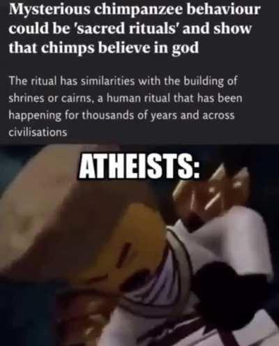 Lego Ninjago man (Zane/Zayn?) Screaming