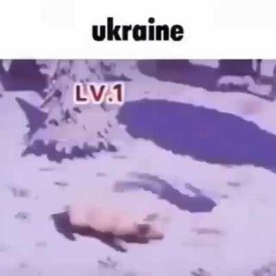 a new shitposter has joined the moldui gan-g