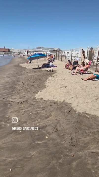 Después se quejan que no van de vacaciones a Mar del Plata