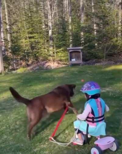 To let your dog take care of your daughter