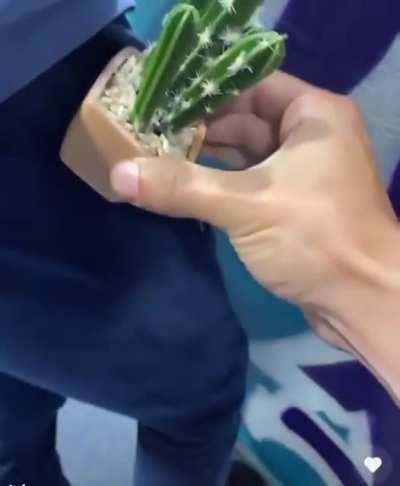 AAAAAAAAAAAAAAAAAAAAAAA