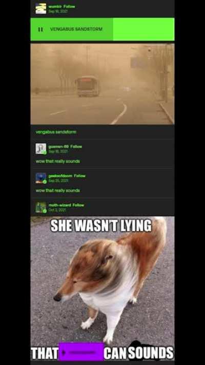 A soundy sound that sounds soundy.