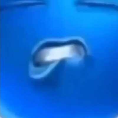 Dababy fans when they see a big black cock and name it dababy