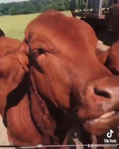 Strawberry 🍓 😂