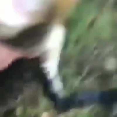 Guy throws gator into lake