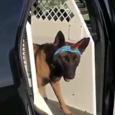 Yo haciendo cuentas nuevas para tener el primer mes gratis en Spotify