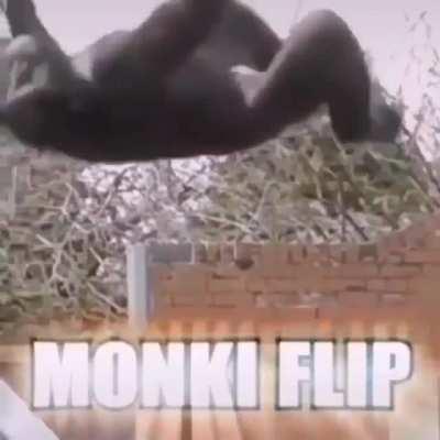 Monki flip 😎😎