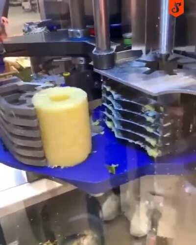 Pineapple cutter