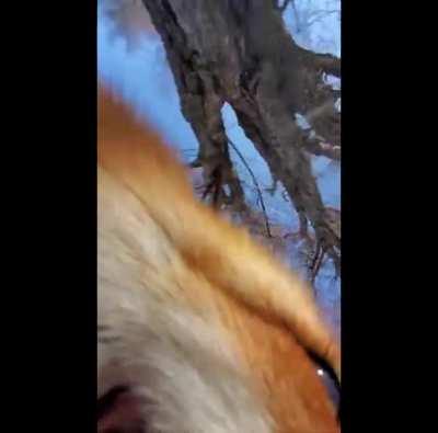 What could go wrong If I shot myself with my phone?