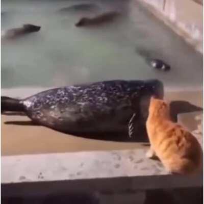 Wilson se trata con respeto