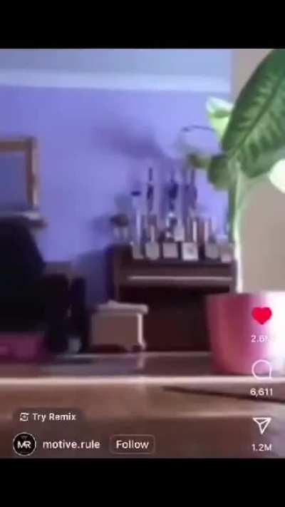 rock and roll mcdonalds 