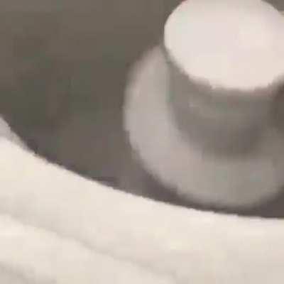 u/A_Dud3e wasn't able to post so I'll continue posting a Neco Arc meme every day: Day 59 and 60