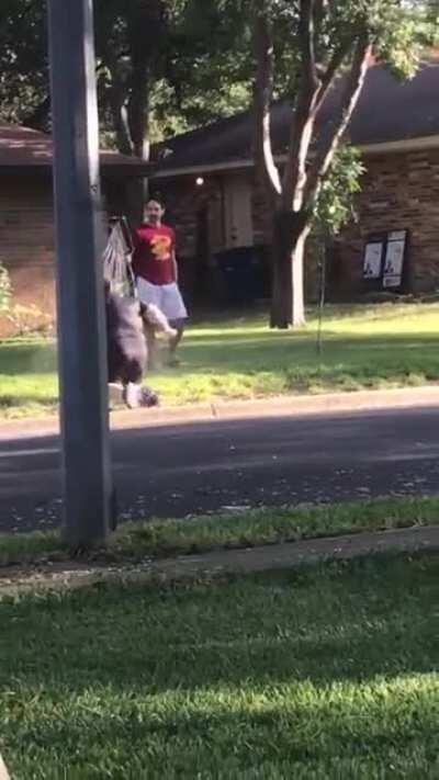 Guy has a Black lives matter sign in his front yard. Some crazy lady parks in the middle of the street and starts screaming 