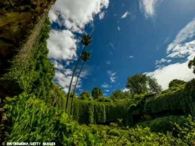 Sinkhole discovered in China with ancient trees as high as 130 feet at the bottom. It could also have animals they haven't been discovered elsewhere.