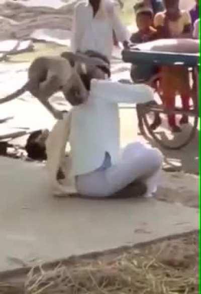 Making friends with a wild monkey