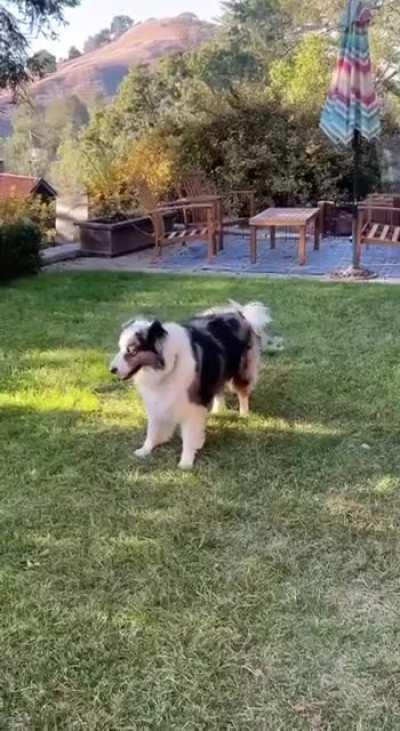 Today Little boy so happy