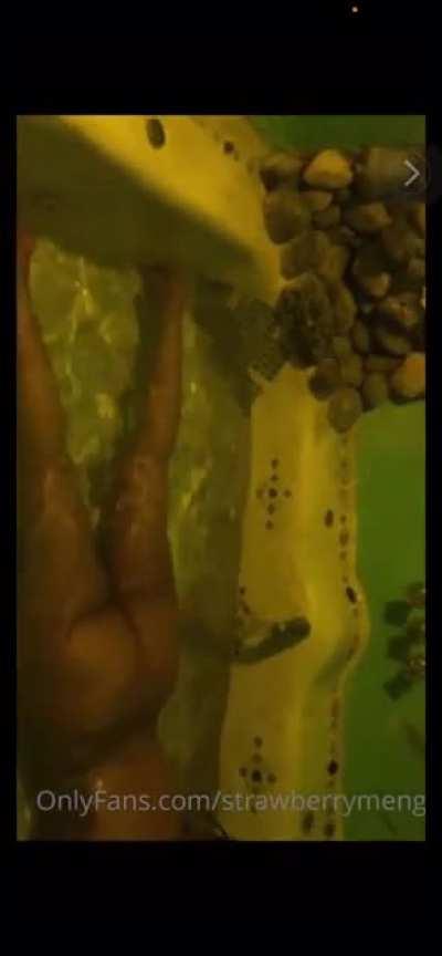 This thick AZZ milf belongs to the Taurus ♉️ folder.