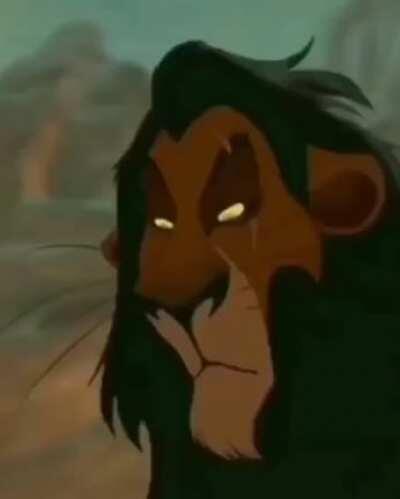 Lion king movie scene IRL