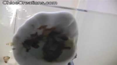 More Chloe Creations