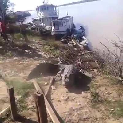 - Mãe vou sair com um amigo que chegou do interior! Mãe: ele é responsável? Ele: