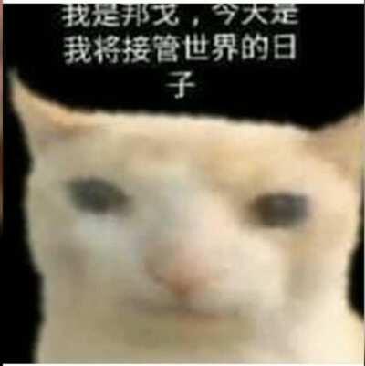 thoughts on this carti xcx mashup