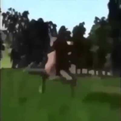 Era: ??? Genre: ??? Artist: ???