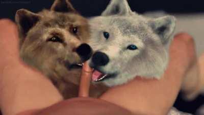 Wolfjob (trioami260)