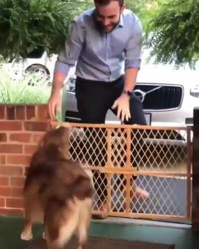 If you're happy and you know it, wiggle your butt!