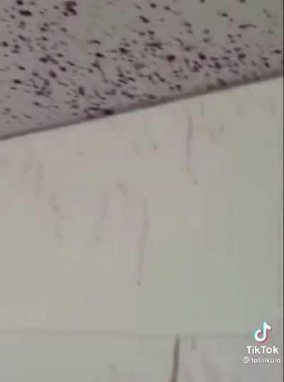 Average polish beverage