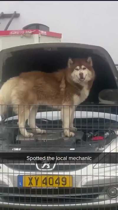 Can I trust this mechanic?