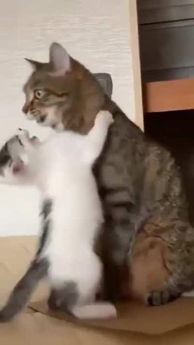 There Are Boundaries To Love