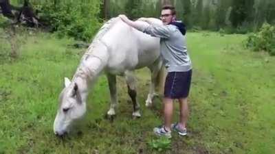 Mounting a wild horse