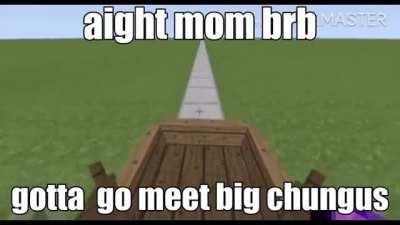 I just met big chungus AMA