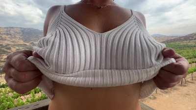 Isn't the vineyard beautiful