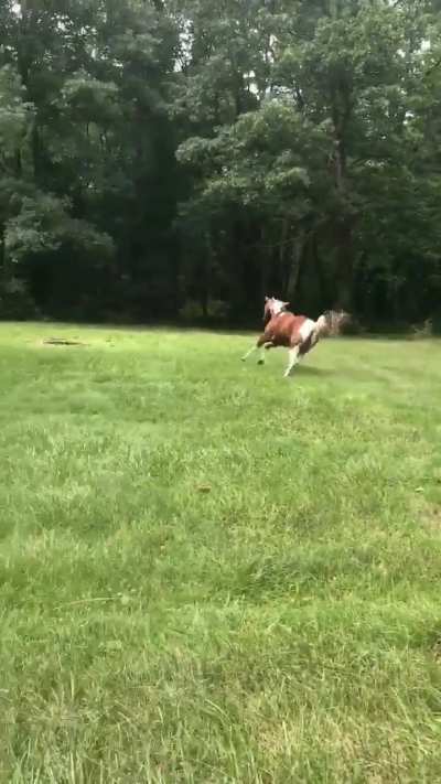 Bro has places to be