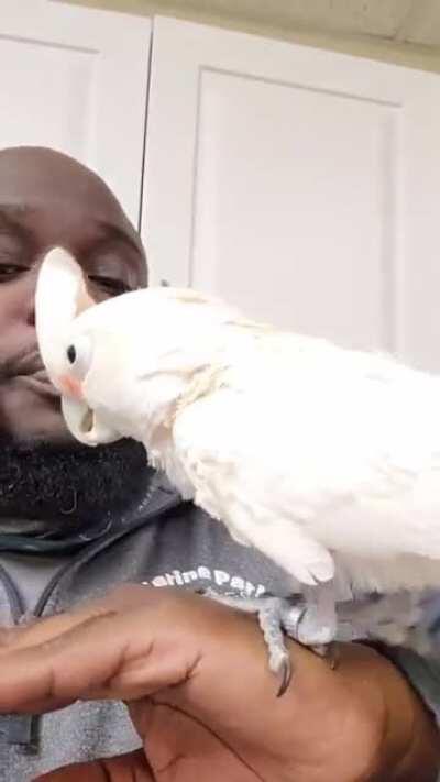 Where this really belongs!