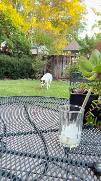 This is her favorite thing to do lol!