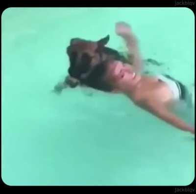 dog rescues girl from the evil water