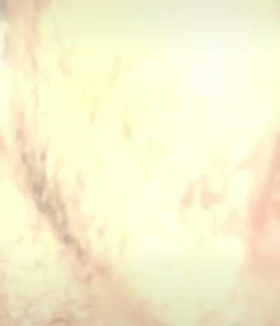 Thanks, I hate slow motion spider eating