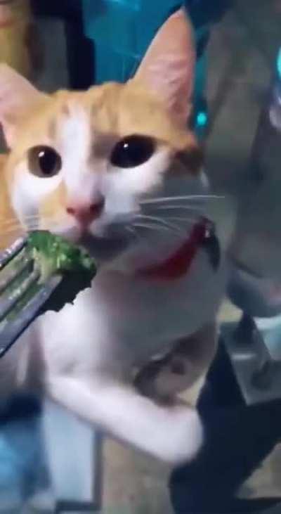 Я и здоровое питание(звук)