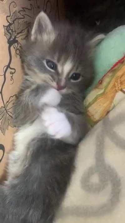 Must cleam mine fingies