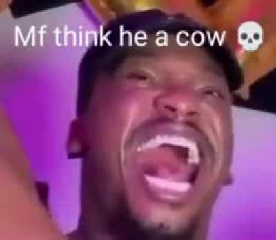 Ppnojutsu cow, I'm sorry for my older coal post