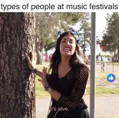 The Type of People at Music Festivals 