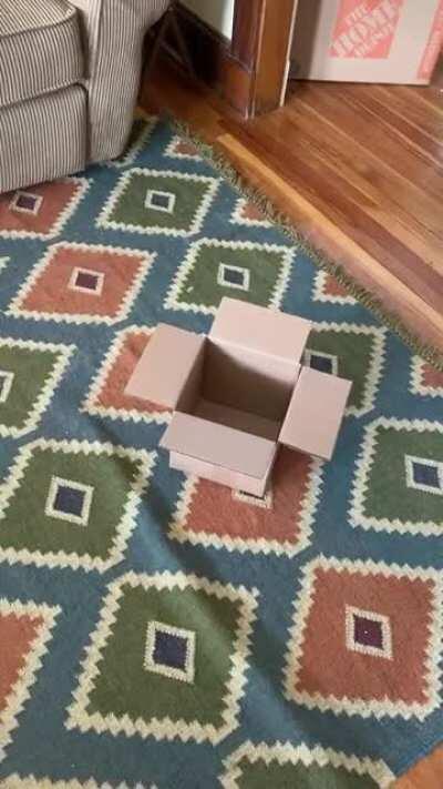 Box too small