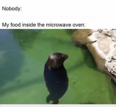 Just heating up my choncc soup