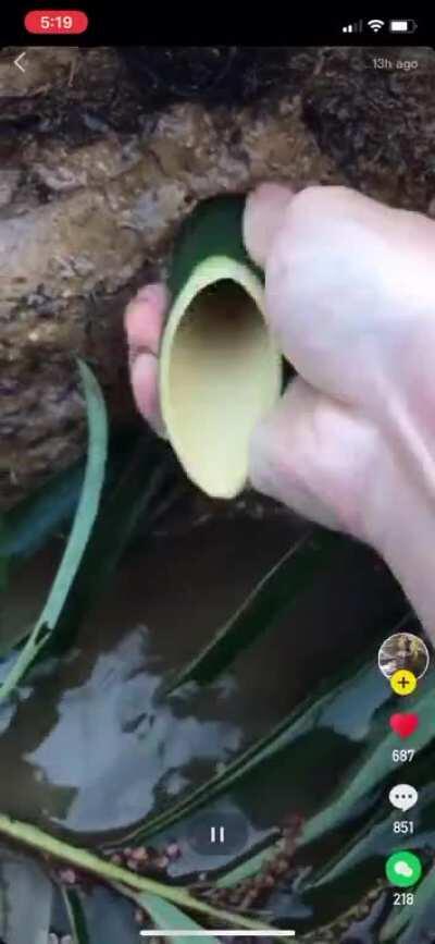 Thanks I hate this water diversion