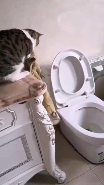 No Human it belong in here.