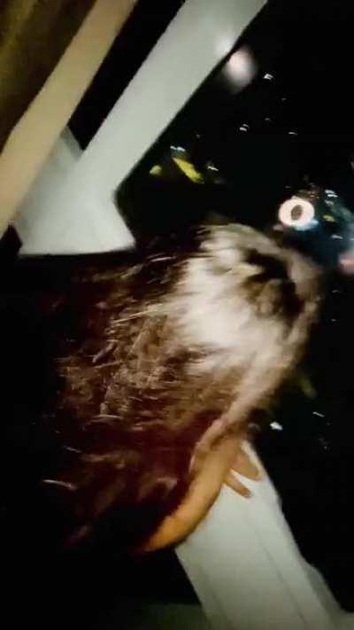 A pounding with a view![f] 🙈