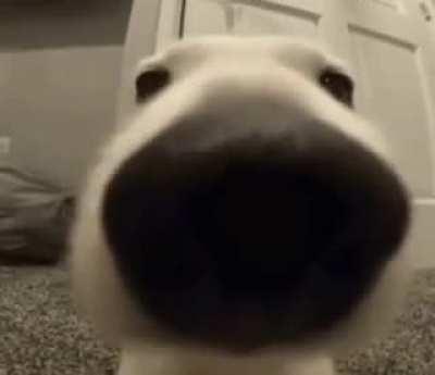 Que olor a pija, ahh sos vos