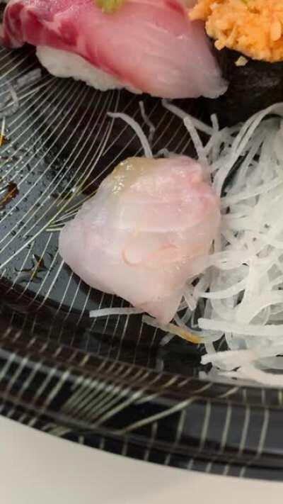 Bought a $90 sushi platter from the best sushi restaurant in town for dinner with friends. This little fella was found dancing on the fish